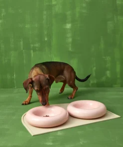 Pink ceramic dog feeder