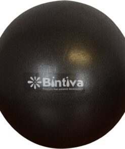 Mini Pilates Ball